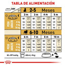 Royal Canin Pug Puppy 1.13kg - Alimento Seco Pug Cachorro