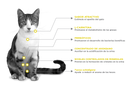 Nupec Felino Urinary 1.5kg - Alimento Seco Gato Adulto