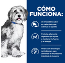 Hill's Prescription Diet ONC Care 6.8kg - Alimento Seco Perro