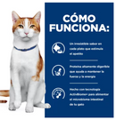 Hill's Prescription Diet ONC Care 3.2kg - Alimento Seco Gato