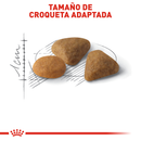 Royal Canin Savor Sensation 2.7kg - Alimento Seco Gato Adulto Apetito Selectivo