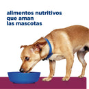 Hill's Prescription Diet i/d Small Bites Canine Enfermedad Gastrointestinal 1.5kg - Alimento Seco Perro