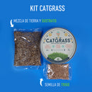 Un Dos Treats Catgrass pasto de trigo - Premios para gato
