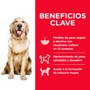 Hill's Science Diet Perfect Weight Control de Peso Para Perros Adultos 1.8 kg - Alimento Seco Perro