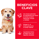 Hill's Science Diet Adult 7+ Youthful Vitality Small Bites 5.7kg Receta Pollo y Arroz - Alimento Seco Perro Senior Raza Pequeña