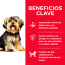 Hill's Science Diet Adult Small Paws 2kg Receta Pollo y Arroz - Alimento Seco Perro Adulto Raza Pequeña y Miniatura