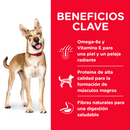 Hill's Science Diet Adult Original 15kg Receta Cordero y Arroz - Alimento Seco Perro Adulto