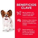 Hill's Science Diet Adult Light Small Paws 2kg Receta Pollo y Cebada - Alimento Seco Perro Cachorro Raza Pequeña y Miniatura