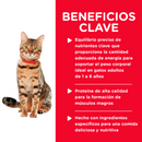 Hill's Science Diet Felino Adult Original Healthy Cuisine Lata Estofado 0.08kg Receta Pollo Rostizado y Arroz - Alimento Húmedo Gato Adulto