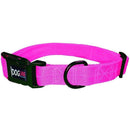 Dogline collar de nylon  talla mediana - Accesorios perro [2 unidades]