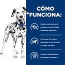 Hill's Prescription Diet u/d Canine Urolitiasis y Enf. Renal en etapa final 3.9kg - Alimento Seco Perro