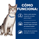 Hill's Prescription Diet k/d Feline Cuidado Renal 3.9kg - Alimento Seco Gato