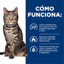 Hill's Prescription Diet Metabolic Feline Pollo Manejo del Peso 8.0kg - Alimento Seco Gato