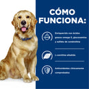 Hill's Prescription Diet j/d Canine Artritis 3.9kg - Alimento Seco Perro