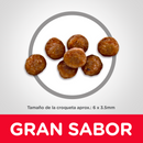 Hill's Science Diet Felino Gatito Interior Receta Pollo 1.6kg - Alimento Seco Gatito