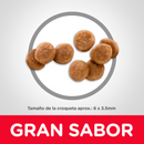 Hill's Science Diet Felino Gatito Original 1.6kg Receta Pollo - Alimento Seco Gatito