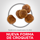 Hill's Science Diet Adult 7+ Small Bites 6.8kg Receta Pollo y Cebada - Alimento Seco Perro Senior Raza Pequeña