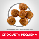 Hill's Science Diet Adult Light Small Paws 2kg Receta Pollo y Cebada - Alimento Seco Perro Cachorro Raza Pequeña y Miniatura