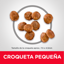 Hill's Science Diet Adult Small Paws 2kg Receta Pollo y Arroz - Alimento Seco Perro Adulto Raza Pequeña y Miniatura