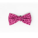 Jack Pet Collar Con Moño Para Perro Chico Color Fucsia - Accesorios
