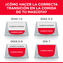 Hill's Science Diet Felino Gatito Interior Receta Pollo 1.6kg - Alimento Seco Gatito