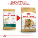 Royal Canin Golden Retriever Adulto 13.6 kg - Alimento Seco Golden Retriever