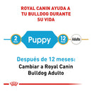 Royal Canin Bulldog Inglés Puppy 13.6 kg - Alimento Seco Bulldog Inglés Cachorro