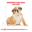 Royal Canin Bulldog Inglés Puppy 2.72 kg - Alimento Seco Bulldog Inglés Cachorro