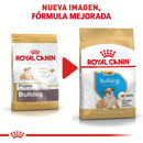 Royal Canin Bulldog Inglés Puppy 2.72 kg - Alimento Seco Bulldog Inglés Cachorro