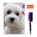 Hartz Cepillo Combinado Deluxe - Accesorios para perro