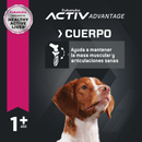 Eukanuba Pack 12 Latas Cordero y Arroz Adultos 375g - Alimento Húmedo Perro Adulto