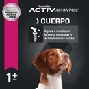 Eukanuba Pack 12 Latas Pollo y Res Adultos 354g - Alimento Húmedo Perro Adulto