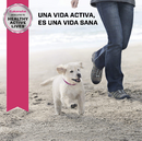 Eukanuba Puppy Small Breed 2.04 kg - Alimento Seco Perro Cachorro Raza Pequeña