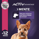 Eukanuba Puppy Small Breed 2.04 kg - Alimento Seco Perro Cachorro Raza Pequeña