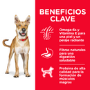Hill's Science Diet Adult Original 15kg Receta Pollo y Cebada - Alimento Seco Perro Adulto