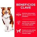 Hill's Science Diet Adult 7+ 12kg Receta Pollo y Cebada - Alimento Seco Perro Senior
