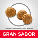 Hill's Science Diet Adult Original 20.4 kg Receta Pollo y Cebada - Alimento Seco Perro Adulto