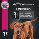 Eukanuba Adult Large Breed 13.6 kg - Alimento Seco Perro Adulto Raza Grande