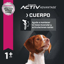 Eukanuba Adult Medium Breed 7.26 kg - Alimento Seco Perro Adulto Raza Mediana