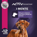 Eukanuba Puppy Large Breed 13.6 kg - Alimento Seco Perro Cachorro Raza Grande