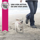 Eukanuba Puppy Small Breed 6.8 kg - Alimento Seco Perro Cachorro Raza Pequeña