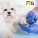 Fancy Pets Tijeras Cortauñas para Gato Grande - Accesorios