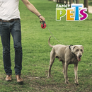 Fancy Pets Correa Retractil C/Autobrake Xtreme Grande 5M - Accesorios