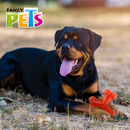 Fancy Pets Juguete Hueso Triple Xtreme Grande - Accesorios