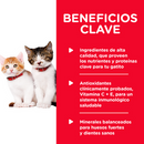 Hill's Science Diet Felino Kitten Original Lata 0.15kg Receta Hígado y Pollo - Alimento Húmedo Gatito