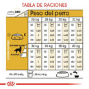 Royal Canin Golden Retriever Adulto 13.6 kg - Alimento Seco Golden Retriever