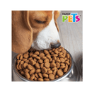 Fancy Pets Plato de Acero para Perros 32 oz - Accesorios