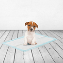 Paquete de 30 Pads Grandes para Tapete Entrenador para Cachorros - Limpieza