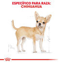 Royal Canin Chihuahua Adulto 1.1 kg - Alimento Seco Chihuahua Adulto