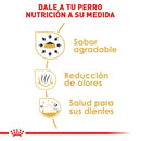 Royal Canin Chihuahua Adulto 1.1 kg - Alimento Seco Chihuahua Adulto